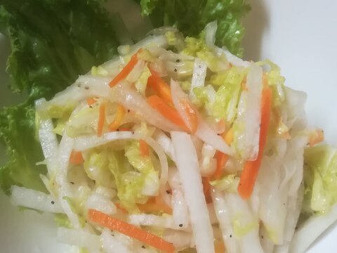 白菜と根菜のさっぱりサラダ